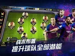 热刺以,万镑重金引,进索兰克,百姓彩票,彩票平台,在线购彩,便捷投注,安全购彩